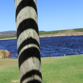 Shadows on a post which look like a tigers tale at Lomond Wines in South Africa.