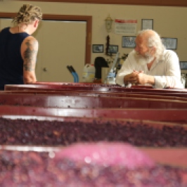 Steve Daniel and his son discuss the wine ferment at Danshi Rise winery in McLaren Vale Australia.