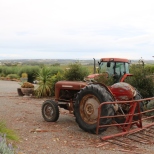 Tractors await some action at Danshi Rise Wines in McLaren Vale Australia.