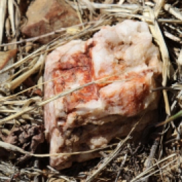 Quartz stone at Dalwhinnie Wines.