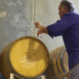 David Jones in the Dalwhinnie wine cellar Australia tasting his sons Sangiovese.