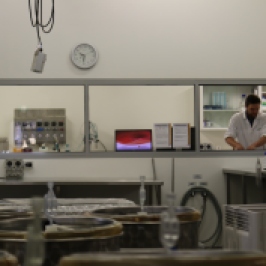 Campbell Meeks working in the laboratory of Charles Sturt University in Australia.