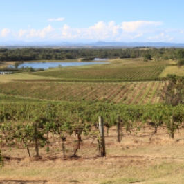 Great views from Audrey Wilkinson Wines.