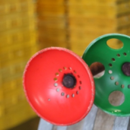 A red and a green plunger awaits some action in the Neudorf winery in New Zealand.
