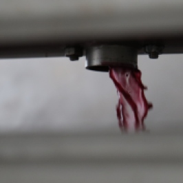 Red wine falling from the press machinery at the Ata Rangi winery in Martinborough, New Zealand.