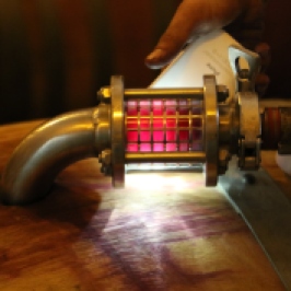 Using a smartphone torch to peep inside the wine barrel at Kingston Family Vineyards in Chile.