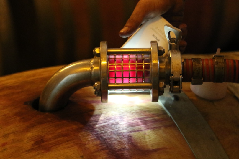 Using a smartphone torch to peep inside the wine barrel at Kingston Family Vineyards in Chile.