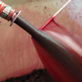 Taking the temperature of the red wine while it ferments in the Kingston Family Vineyards in the Casablanca Valley in Chile.
