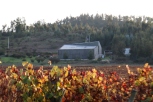 A view from the vineyard of the Kingston Family winery in the Casablanca Valley in Chile.