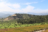 The view across the Casablanca Valley from the Indomita winery in Chile.