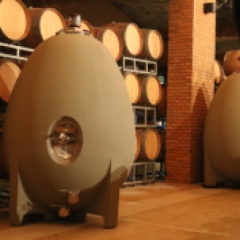 Large fermenting concrete eggs at Vina Koyle winery in Chile.
