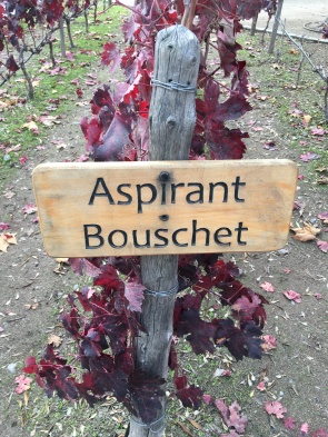 An Aspirant Bouschet sign on a tour of the Concha Y Toro winery in Chile.